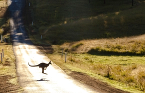 Quelle assurance voyage Australie choisir en 2025 ?