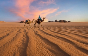 L’expatriation en Algérie : le parcours inspirant de Xavier Gesnouin