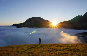 Travel insurance: find the best cover