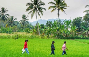 Vaccins expatriés : guide pour votre carnet et santé